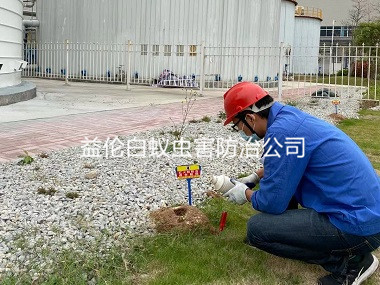 廣州工業區防治紅火蟻